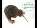 New Zealand accent explained New Zealand accent explained