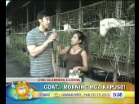 goat milk
