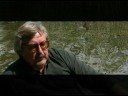 luca mergui