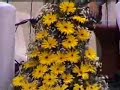 Zajal lebnani clip 1/19