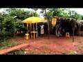 The World Bank - Village Phone Nigeria