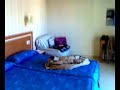 hotel don pablo gandia