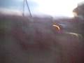 videos de Morris 10 in Sri Lanka -Patrick Ratnayake