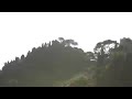 Olialia yacht in Portofino in front of Dolce Gabbana mauntain.mp4