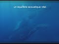 Le son de mer