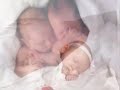 Bébés Anne Geddes Bébés Anne Geddes