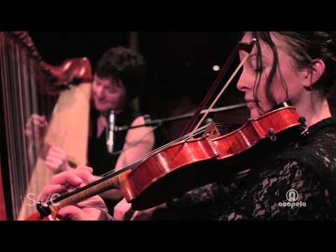 Elfen – Chwarae (Live at Acapela Studio)