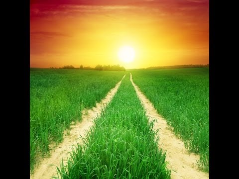 Image de prévisualisation YouTube