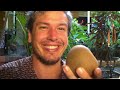 Unusual Fruits: Nica