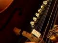 Mark Deutsch Playing the Bazantar