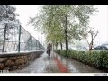 Beautiful city (Tehran تهران)