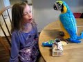 squawkers-mccaw-the-parrot-demo-from-amazingtechproductscom.html