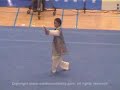 THE essence of chinese wushu 4&BEIJING WU SHU TEAM