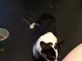 Aug 30 2008 - VID00089
