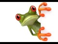 zulazone1.flv