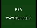 pea   gato preto é tudo de bom!