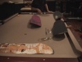epic pong shots epic pong shots