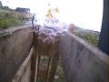 Shooting eggs with air rifles
