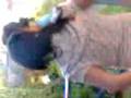 en lo de lupi cn ailu i pechi (L