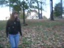 videos de Leaves!