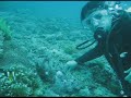 Discover diving, Travel to the Philippines