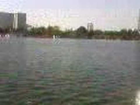 MIni Van Flips into Lake Merrit, Oakland