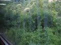 Vlakche Septemvri Bansko