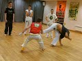 Aladin, Gafanhoto et Batata pretta