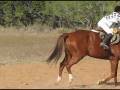 videos de Heaven and Tuffy