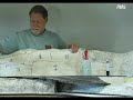 Rock Faces Using Flexible Moulds