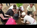 Part 2/3 - Campus-Wide Design and Initial Planting Phase: UMass Permaculture Documentary Series