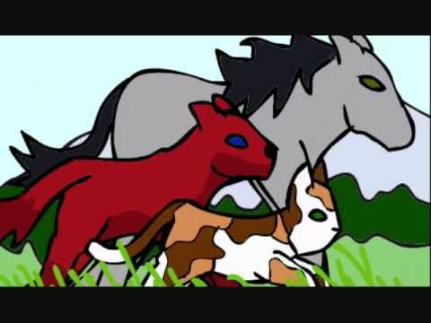 evans cycles evans cycles