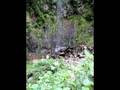 videos de Boquete- Axel's Adventure Hike