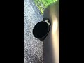 Click here to watch this video MY SE-R EXHAUST SOUND !!!!