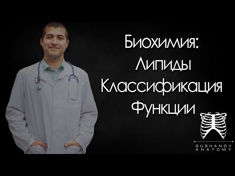 Липиды. Классификация липидов.