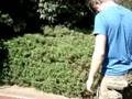 videos de Jappie midgetgolf