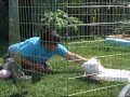 Pawsitive Vybe Ducky Round 3