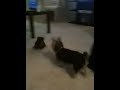 Shawny and baby Eva playing