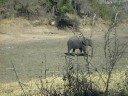 Zuid Afrika