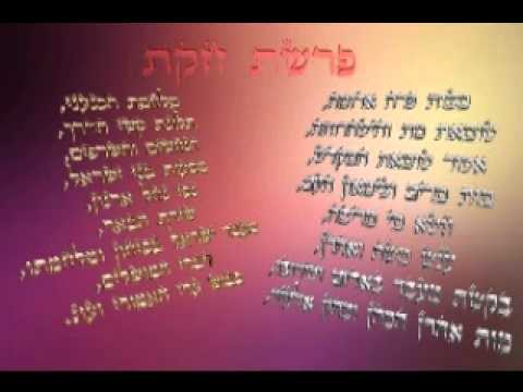 Parashat Houkat - 5774 - Rav Mordékhay Saksik