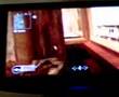 Call Of Duty 4--Bug