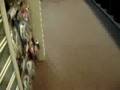 videos de Walk-Through