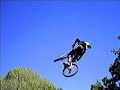 learning2fly