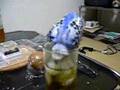 おとしだま動画7