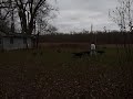 Video in front of cabin all puppies and Sally, Blackjack, Xena and Tasha.MOV