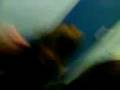 Jiimmy && Louiisa at a giig