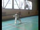 heian-sandan-kiseikai-karatedo-shotokai.html