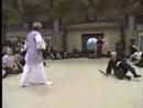THE ESSENCE OF THE 9 SCHOOLS OF BUJINKAN NINPO TAIJUTSU