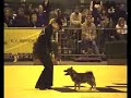 Kari\