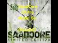 Baba Saad Outro Saadcore 2008